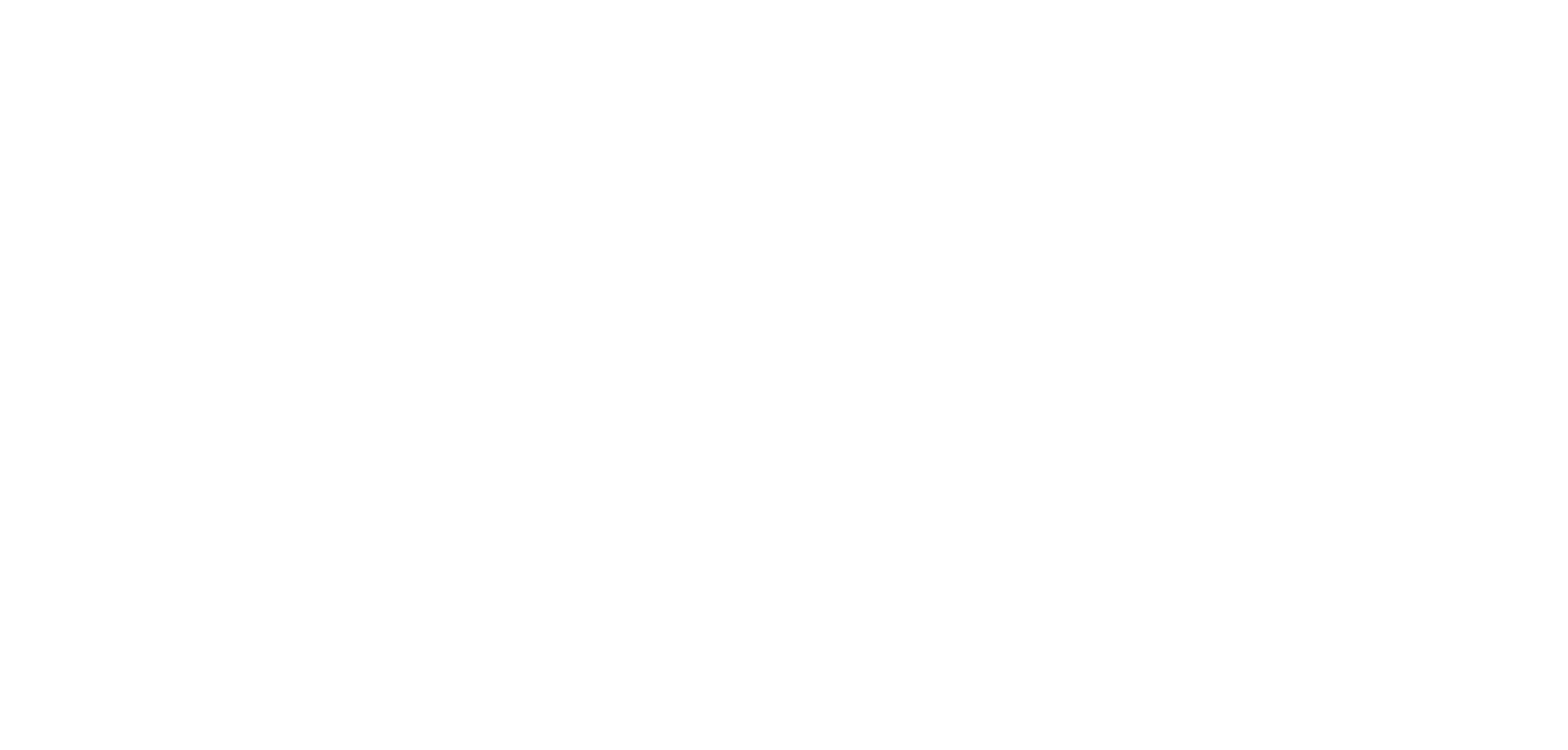 Logo VB Risk Advisory